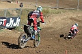 _ROB6884 (Copy)